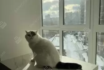 Отделка и утепление балкона Каблук в доме серии ПТ-44